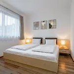 Schiestl Chalet Ramsau im Zillertal