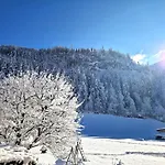 Chalet Schiestl Ramsau im Zillertal